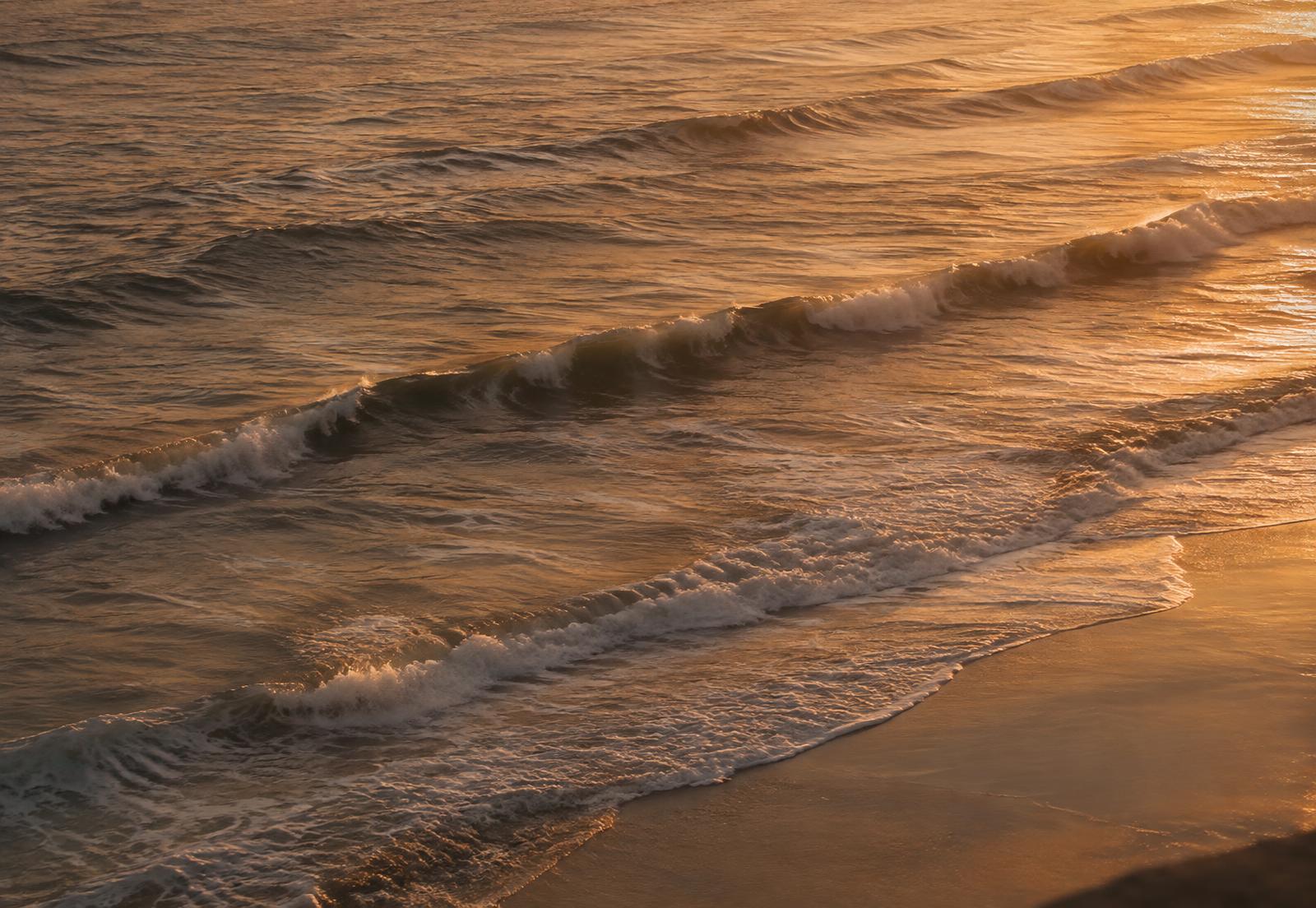 Olas doradas al atardecer